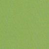 Approximately 4"x4" Shown of Canvas-Ginkgo