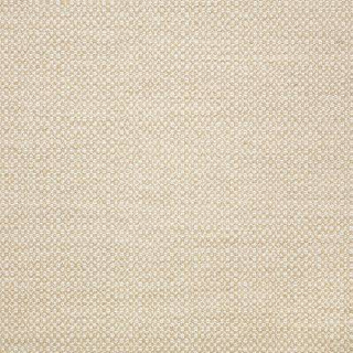 Action Linen Outdoor Pillow Fabric