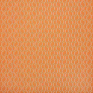 Adaptation Apricot