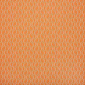 Adaptation Apricot